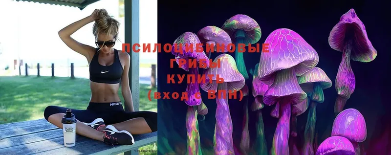 Галлюциногенные грибы MAGIC MUSHROOMS  Кирс 